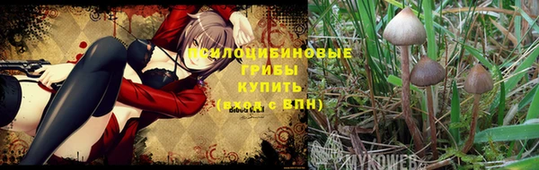 кокаин колумбия Вяземский