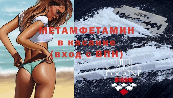 хмурый Сосновый Бор